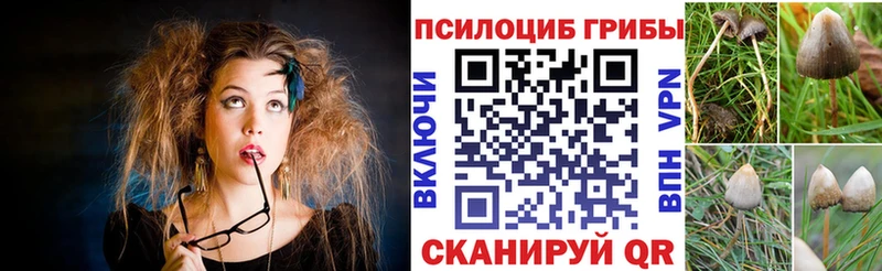 Псилоцибиновые грибы Cubensis как найти наркотики Абдулино